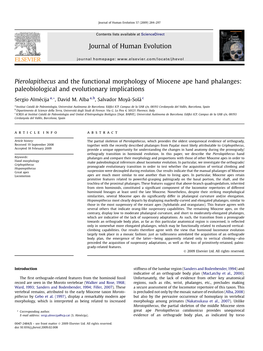 Pierolapithecus and the Functional Morphology of Miocene Ape Hand Phalanges: Paleobiological and Evolutionary Implications