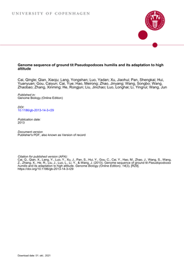 Genome Sequence of Ground Tit Pseudopodoces Humilis and Its Adaptation to High Altitude