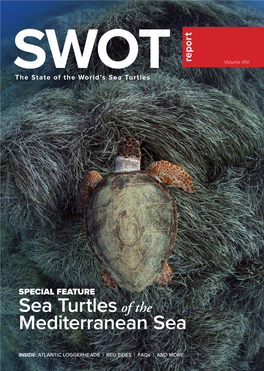 SWOT: SPECIAL FEATURE Sea Turtles of the Mediterranean