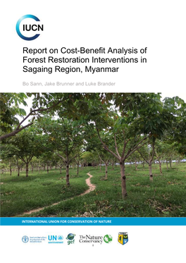 Report on Cost-Benefit Analysis of Forest Restoration Interventions in Sagaing Region, Myanmar