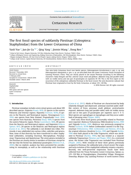 (Coleoptera: Staphylinidae) from the Lower Cretaceous of China