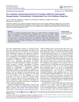 The Complete Mitochondrial Genome of Costapex Baldwinae (Gastropoda: Neogastropoda: Turbinelloidea: Costellariidae) from the Caribbean Deep-Sea