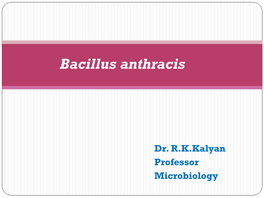 Bacillus Anthracis