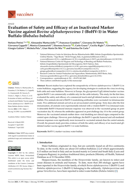 Evaluation of Safety and Efficacy of an Inactivated Marker Vaccine Against