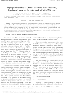 Phylogenetic Studies of Chinese Labeonine Fishes (Teleostei : Cyprinidae)Based on the Mitochondrial 16S Rrna Gene＊