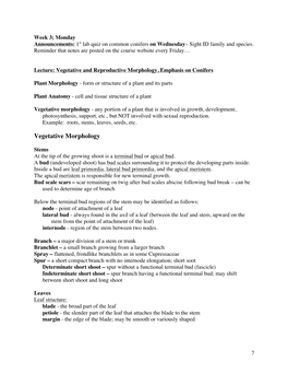 Vegetative Morphology - Any Portion of a Plant That Is Involved in Growth, Development, Photosynthesis, Support, Etc., but NOT Involved with Sexual Reproduction