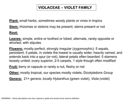 Violaceae – Violet Family