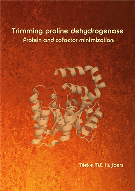 Trimming Proline Dehydrogenase: Protein and Cofactor Minimization 182 Pages