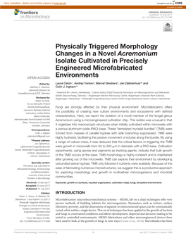 Physically Triggered Morphology Changes in a Novel Acremonium Isolate Cultivated in Precisely Engineered Microfabricated Environments