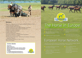 The Horse in Europe