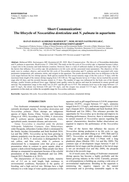 The Lifecycle of Neocaridina Denticulata and N. Palmata in Aquariums