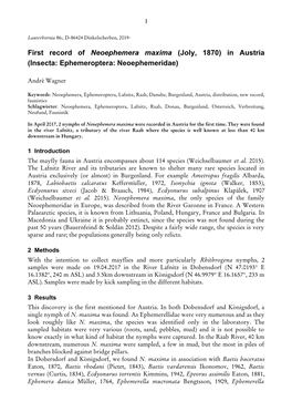 First Record of Neoephemera Maxima (Joly, 1970) in Austria (Insecta