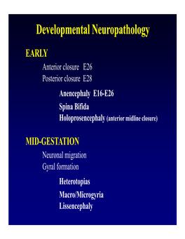 Developmental Neuropathology