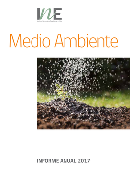 INFORME ANUAL 2017 2 MEDIO AMBIENTE / INFORME ANUAL 2017 Instituto De Nacional Estadísticas: 1987 Inicio: 2017