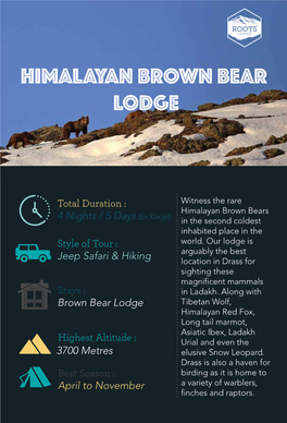 Himalayan Brown Bear Lodge