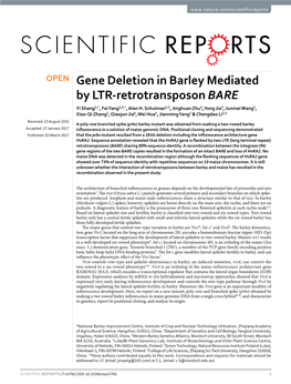 Gene Deletion in Barley Mediated by LTR-Retrotransposon BARE Yi Shang1,*, Fei Yang2,3,*, Alan H