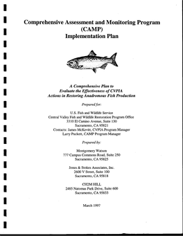 CAMP Implementation Plan Organization