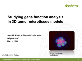 Studying Gene Function Analysis in 3D Tumor Microtissue Models