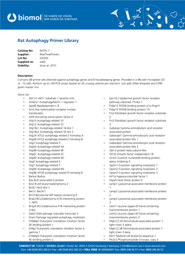 Rat Autophagy Primer Library