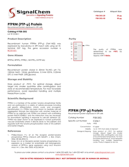 PTPRM (PTP-Μ) Protein Recombinant Protein Expressed in Sf9 Cells