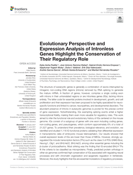 Evolutionary Perspective and Expression Analysis of Intronless Genes Highlight the Conservation of Their Regulatory Role