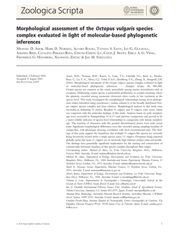 Morphological Assessment of the Octopus Vulgaris Species Complex Evaluated in Light of Molecular-Based Phylogenetic Inferences