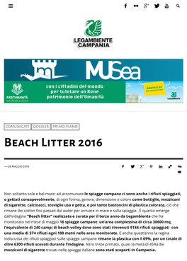 Beach Litter 2016