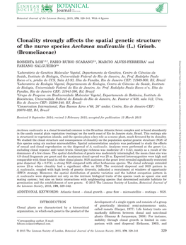 Clonality Strongly Affects the Spatial Genetic Structure of the Nurse Species Aechmea Nudicaulis (L.) Griseb. (Bromeliaceae)