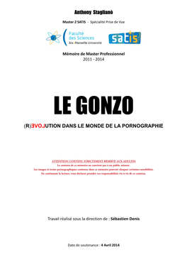 Le Gonzo (R)Evolution Dans Le Monde De La Pornographie