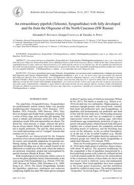 Teleostei, Syngnathidae) with Fully Developed Anal Fin from the Oligocene of the North Caucasus (SW Russia