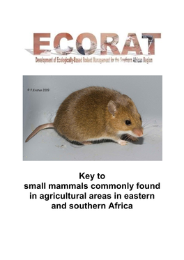 Taxonomic Key to Small Mammals