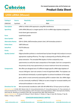 LHX4 Sirna (Mouse)