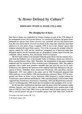 Homo Defined by Culture?’