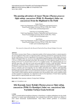 The Passing Adventure of Anzer Thyme (Thymus Praecox Opiz Subsp