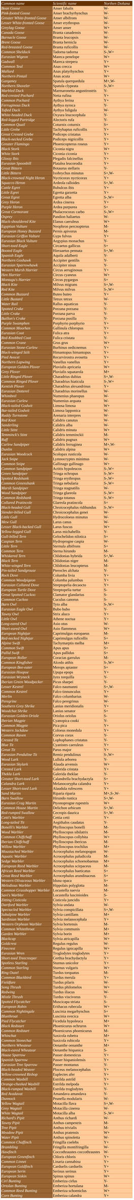 Common Name Scientific Name Northen Doñana Bean Goose