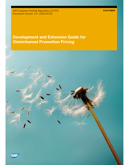 Development and Extension Guide for Omnichannel Promotion Pricing