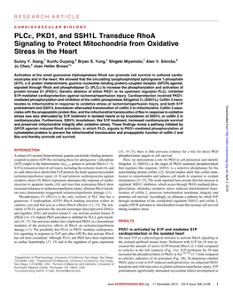 Plcε, PKD1, and SSH1L Transduce Rhoa Signaling to Protect Mitochondria from Oxidative Stress in the Heart Sunny Y