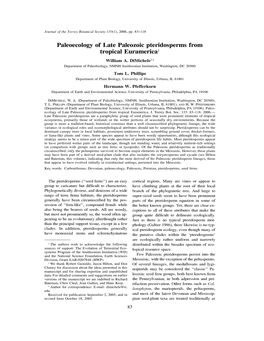 Paleoecology of Late Paleozoic Pteridosperms from Tropical Euramerica^ William A