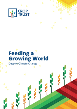 Title Name for Cover Feeding a Growing World