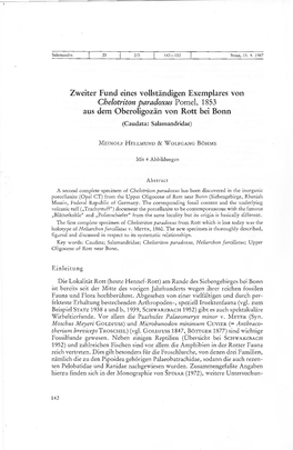 Zweiter Fund Eines Vollständigen Exemplares Von Chelotriton Paradoxus Pomel, 1853 Aus Dem Oberoligozän Von Rott Bei Bonn (Caudata: Salamandridae)