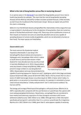 What Is the Role of Dung Beetles Versus Flies in Vectoring Disease?