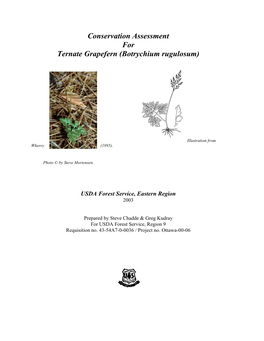 Conservation Assessment for Ternate Grapefern (Botrychium Rugulosum)