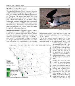 Black Skimmer Rynchops Niger Through the Final Third of the 20Th