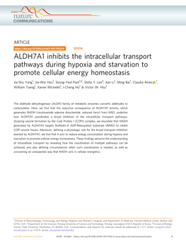 ALDH7A1 Inhibits the Intracellular Transport Pathways During Hypoxia and Starvation to Promote Cellular Energy Homeostasis