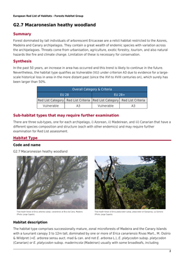 G2.7 Macaronesian Heathy Woodland