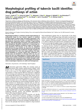 Morphological Profiling of Tubercle Bacilli Identifies Drug Pathways of Action