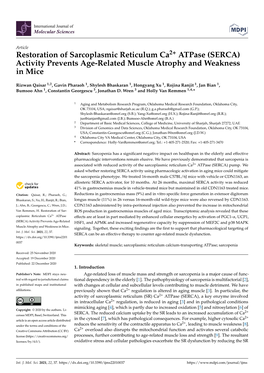 Restoration of Sarcoplasmic Reticulum Ca2+ Atpase (SERCA) Activity Prevents Age-Related Muscle Atrophy and Weakness in Mice