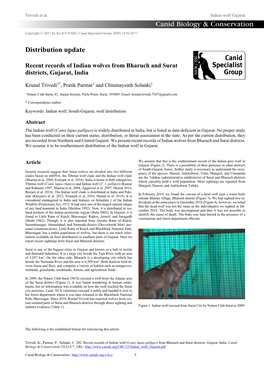 Recent Records of Indian Wolves from Bharuch and Surat Districts, Gujarat, India