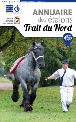 Des Étalons Trait Du Nord