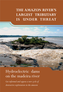 Hydroelectric Dams on the Madeira River Get Informed and Oppose a New Cycle of Destructive Exploitation in the Amazon Index